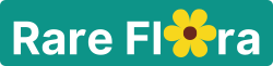 Rare Flora Logo